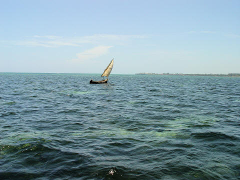 CLICK HERE - Dhow on Indian Ocean