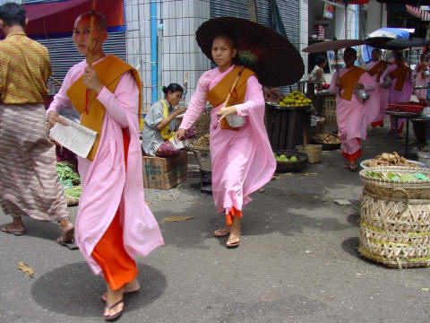 Women monks in downtown Yangon- Click For Full-Size Photo
