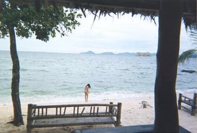 Dimikya beach view from cottage