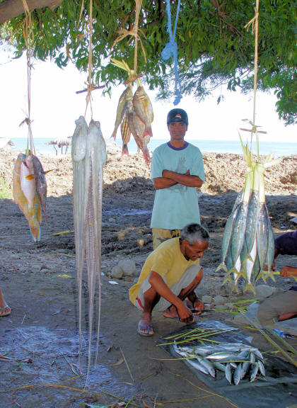 CLICK HERE -  Fish vendors outside hotel