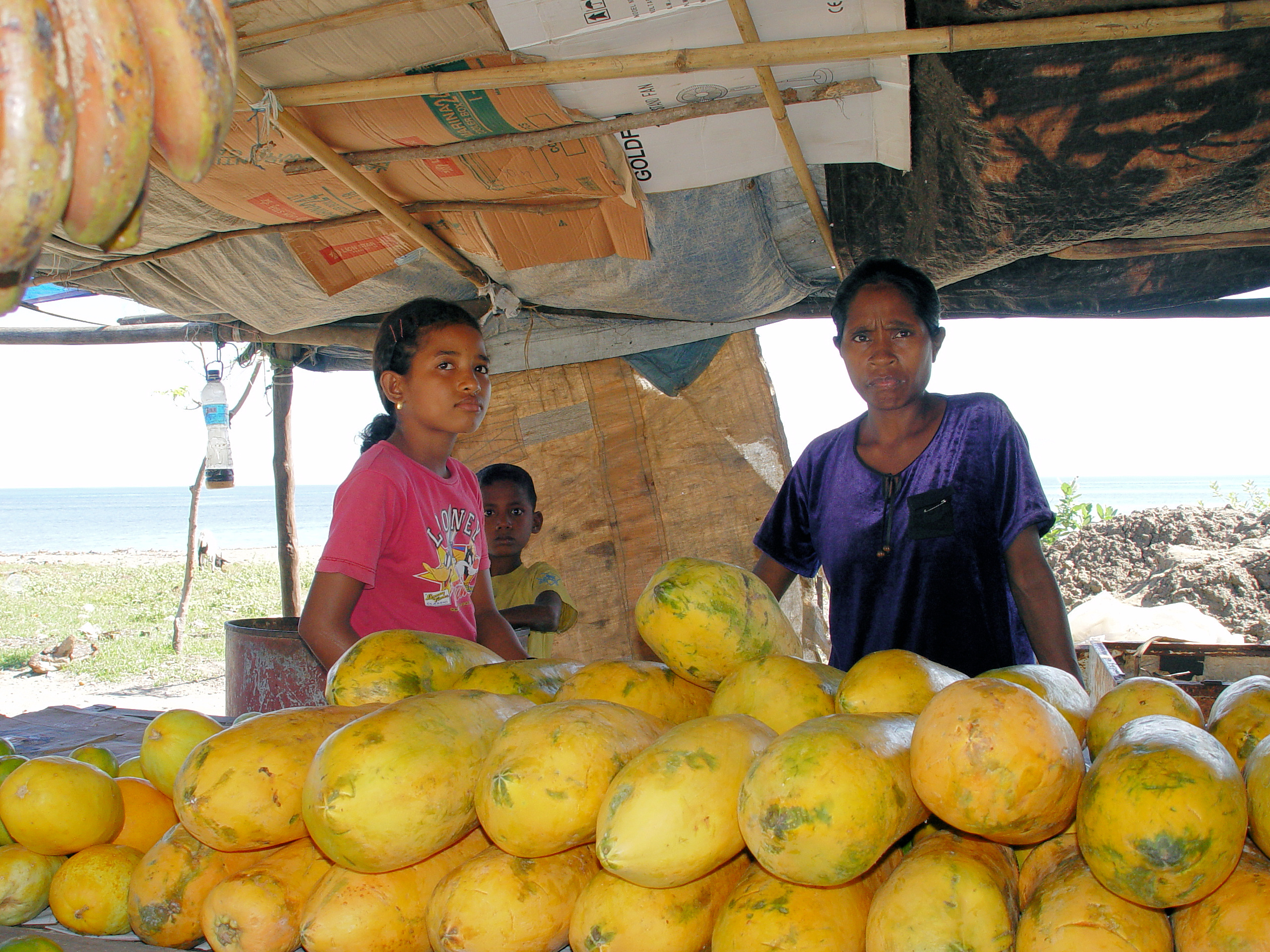 CLICK HERE - Dili papaya vendors